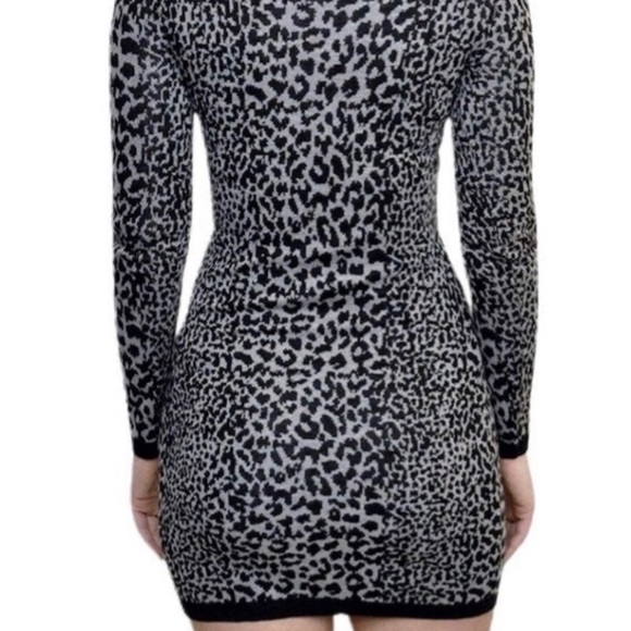 Chic Leopard Print Dress - Picture 5 of 6